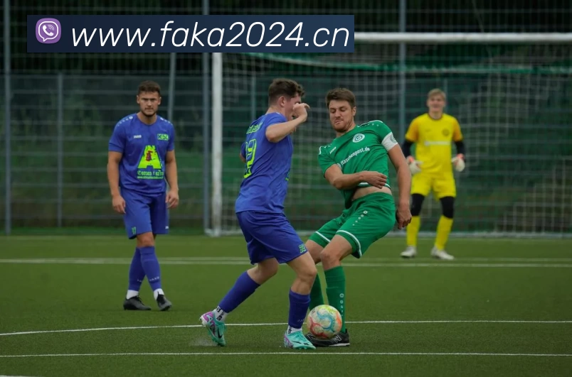 多媒体互动体验